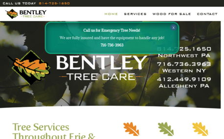 Bentley Tree Care, LLC